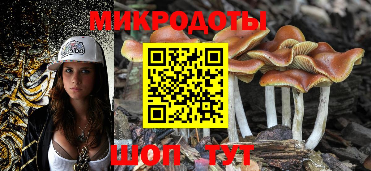 Псилоцибиновые грибы мухоморы  Псилоцибиновые грибы прущие грибы  Майкоп  Вход с VPN 