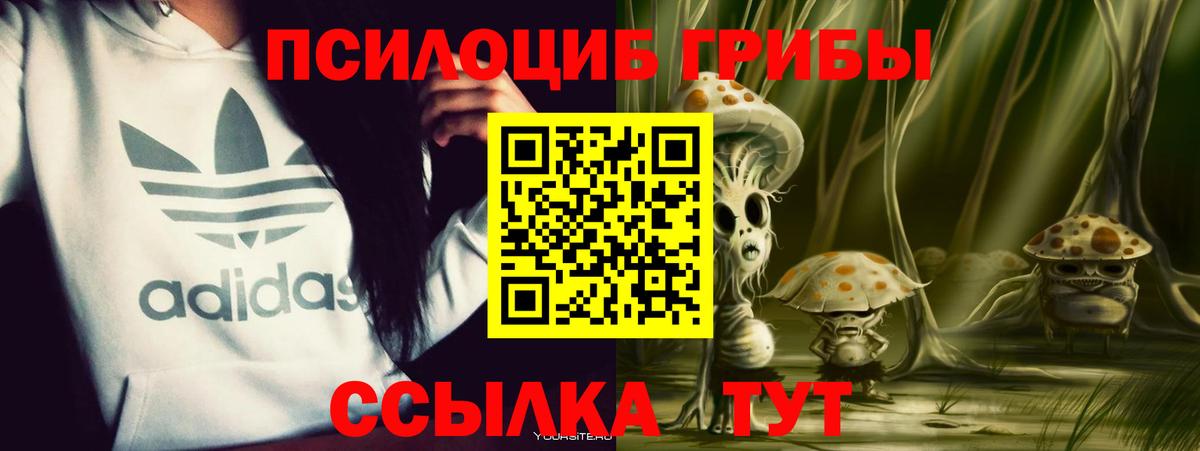 Псилоцибиновые грибы GOLDEN TEACHER Майкоп